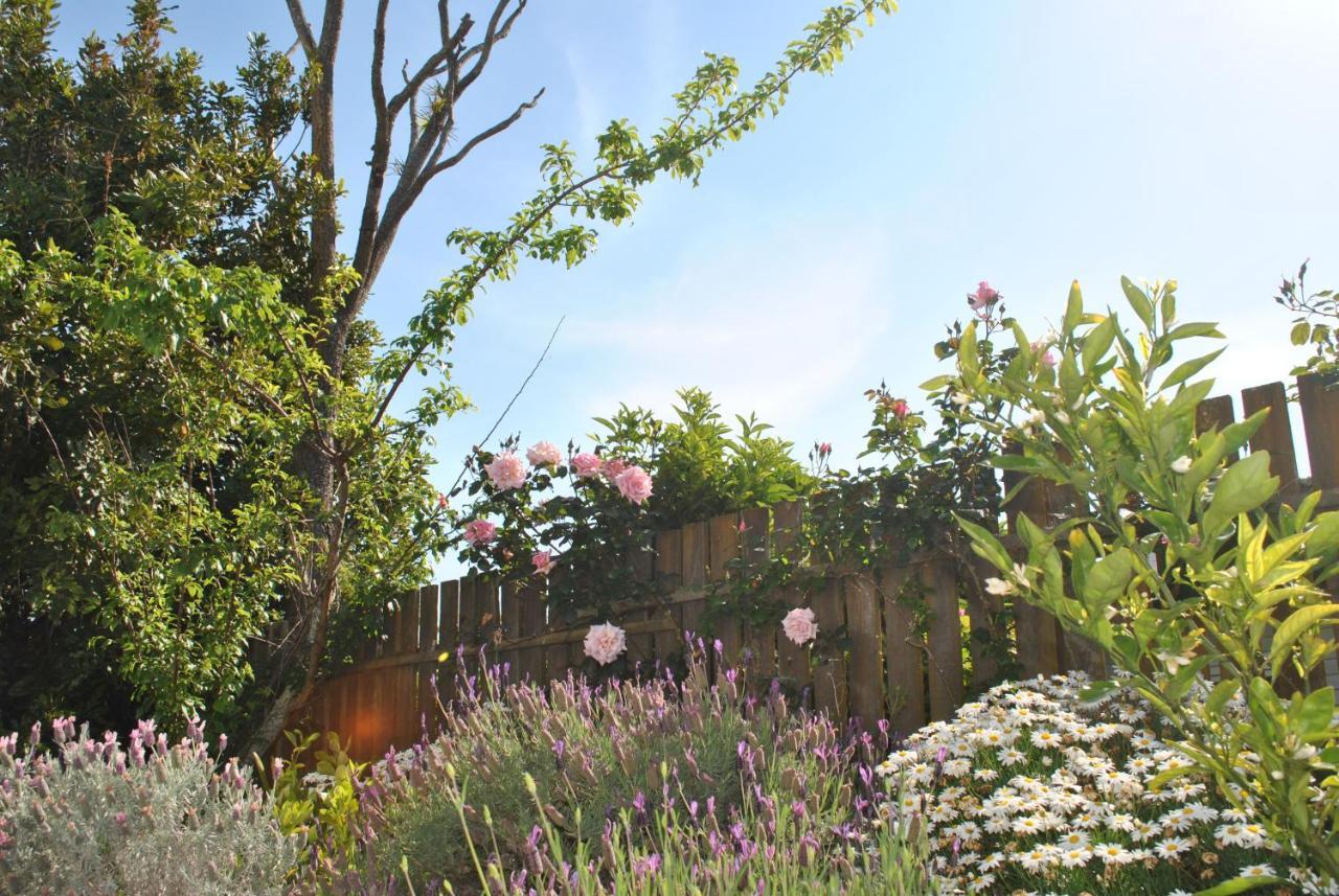Wai O Taiki Bay B&B Auckland Extérieur photo